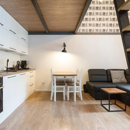 Starowislna With Mezzanine 36, Old Town *